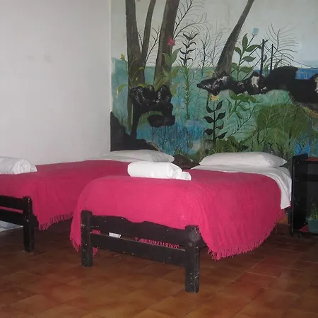 Hotel Minerva-3